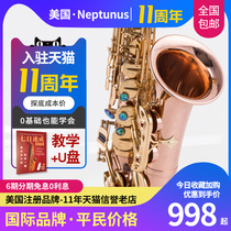 Nipts E-flat alto saxophone wind instrument beginner grade test performance band teaching