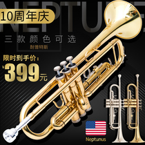 Trumpet musical instrument B-down three-tone trumpet Beginner performance examination Professional band teaching Church Western musical instrument