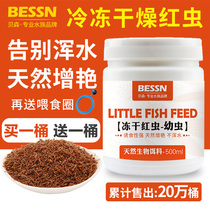 Tropical fish Fish food Lyophilized red worm Dried guppies plentiful shrimp Small fish Betta fish feed frozen fish food fish insects