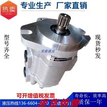 G5-16-10-AH11S-20-L Tianjin Tianji Hydraulic Machinery Co. Ltd. High pressure oil pump