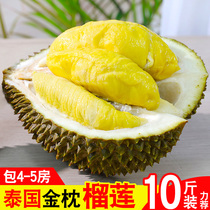 Thai imported gold pillows durian fresh with shell fruit when season special padurian palm durian whole box 2-10 kilos
