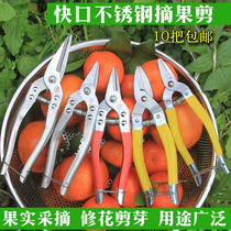 Fengdrill stainless steel fruit picking scissors picking citrus scissors fruit and vegetable scissors flower art scissors household scissors fruit tree scissors Luoding scissors