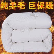 加厚冬被澳洲羊毛被100纯羊毛 保暖羊绒被子褥单双人春秋全棉被芯