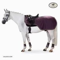 German horse gear sports light horse clothing horse equestrian supplies stable horse blanket horse training clothing horse riding horse clothing