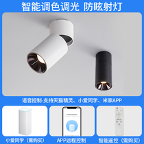 Ming suit household spotlight anti-glare without main light little love rice home intelligent Tmall Genie dimming adjustable angle shooting lamp