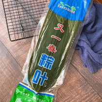 Zong leaves large bamboo leaves with natural fresh vacuum wrapped rice leaves large bamboo leaves