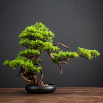 Simulation welcome pine bonsai table decoration Living room entrance tea room New Chinese decoration Office green plant fake potted plants
