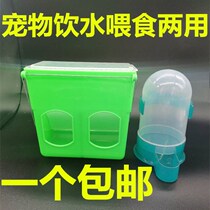 Pigeon trough automatic feeder pigeon supplies bird food box with cover anti-splashing box chicken trough drinking water fountain