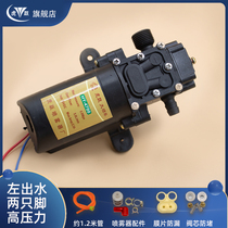 Electric sprayer high pressure pump Huyue 12 volt water pump Agricultural sprayer motor special high-power double pump accessories