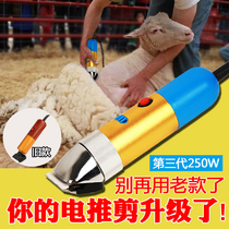 Professional pet electric clipper wool shears high power electric pusher electric shave dog rabbit hair large dog shearing New