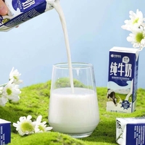 Chen Summers Xinjiang Snow Mountain Pure Milk 200ml * 20 Box Nutrition Classic Students Children Adult Milk