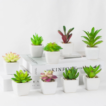 Simulation succulent plastic plant potted fake flower decoration simulation flower desktop decoration bionic green plant succulent small bonsai