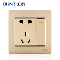 Chint switch socket panel 7L champagne brushed one open double control with five-hole 10A socket