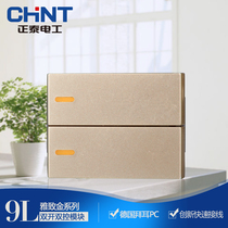 Chint 120 type 9L wall switch socket function key two open dual control switch combination module
