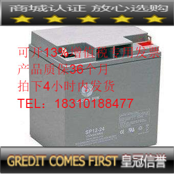 Shengyang Battery 12V24AH Communication Base Station Weak Electric Fire Main Cabinet 12V 24A Battery