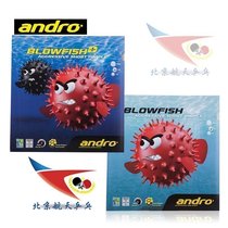 Beijing Aerospace andro shore BLOWFISH set glue poison pufferfish table tennis rubber positive glue bubble fish