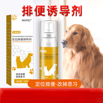 Dog and cat positioning defecation inducer toilet stool fixed-point training toilet fluid pet urine urine defecate stool catheterization