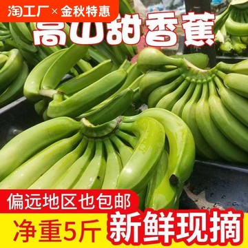 云南高山香蕉9斤装现砍现发青香蕉【到家自己熟】包邮现摘现发