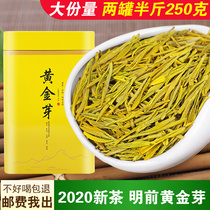 Golden Bud Tea 2020 Xincha Mingqian Premium authentic Anji White Tea 250g bulk rare alpine Green Tea