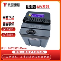 Knife electric car lithium battery 48v Tianneng 20ah24A Calf Zhente head New day bottle car battery original