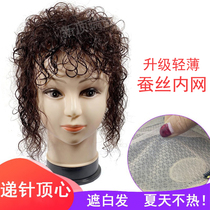 Newly upgraded needle process simulation net wool roll wig piece female cover white hair replacement film lifelike natural fluffy