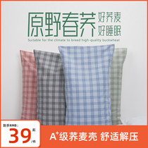 Buckwheat Pillow Special Class Pillow Core Single Dorm Room Buckwheat Hull Leather Care Cervical Spine Sleep Grown-up Children Sleeping Comfort