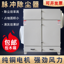 Double-door single-machine pulse bag filter cartridge filter element workshop Industrial dust central dust collection environmental protection equipment