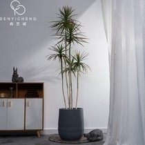 Simulation dragon blood tree millennial Wood Green plant potted fake tree indoor living room shop landscaping floor decoration ornaments