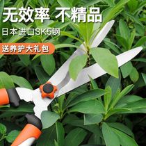 Gardening scissors flower and tree branches pruning home telescopic pruning shears lawn hedge shear strong coarse branch garden scissors