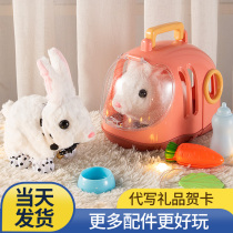 Childrens toys girls girls 10 birthdays 3 gifts 9 pets over 6 years old 5 Net Red 7 girls 8 girls 1 A 2