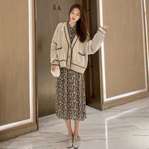Pregnant women dress 2021 autumn fashion tidal air loose spring and autumn personality Net red spicy mother set two-piece set