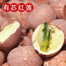 (Low price 1kg 2kg) lotus seed red lotus seed dry goods wild lotus seed with belt heart Xianglian new lotus seed