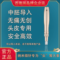 SENNERY SIDERI MICRO-PIN RAW HAIR ELECTRIC NANO-CRYSTALIZED SCALP ENDODERM IMPORT INSTRUMENT WITHOUT PAIN HOME