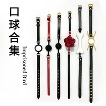 High-end silicone jamming mmouth bite ball collection dog bone role plays forced mouth props