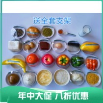 Chinese residents balanced diet pagoda Nutrition guidance Food exchange portion teaching model simulation hospital pyramid
