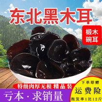 Jilin Changbai Mountain black fungus super wild autumn fungus thick small Bowl ear dry goods bulk 500g new