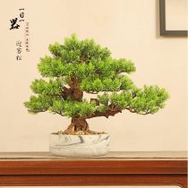 New Chinese simulation welcome pine bonsai small soft indoor home restaurant front desk office wine cabinet decoration decoration