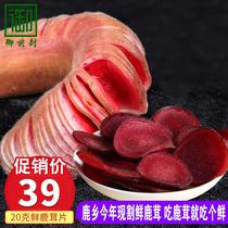 (Luxiang fresh deer fluffy slices 50 grams) this years first stubble fresh velvet sliced wine Jilin sika deer