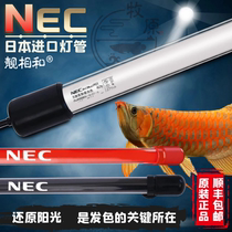 NEC fish tank lamp gold red dragon fish lamp special color lamp tube full spectrum tricolor latent waterproof magic lamp beautiful phase and