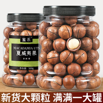 Macadamia nuts 500g nuts canned cream flavor dried snacks snacks dried fruits in bulk weighing kg whole box 5 kg