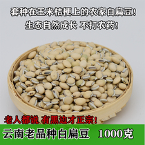 In 2021 Yunnan medicine edible white lentil farmers have black edge raw white lentils sprouted 1000g