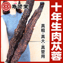 (Ten years of Cistanche) Inner Mongolia Alxa Oil Cistanche 800g whole root soak wine material non-Cynomorium traditional Chinese medicine