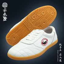 Yun Taiji Taiji shoes for men and women Taijiquan practice shoes boxing martial arts shoes soft competition shoes non-slip bull tendons