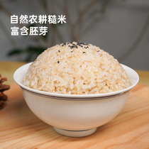 Jane Brown Rice New Rice Qianyi Agricultural Brown Rice Fitness Grain Rice Three-color Germination Coarse Grain Rice