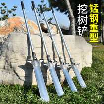 Tree digging shovel all steel thickened seedlings Luoyang shovel outdoor root cutting agricultural tools digging pit bamboo shoots artifact shovel
