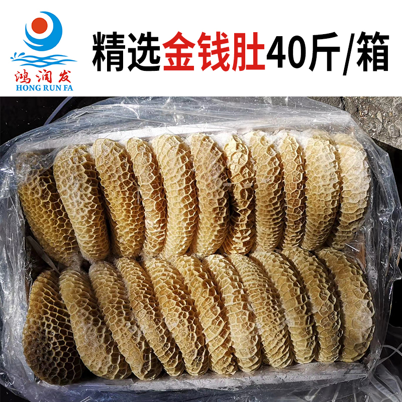 Hongrunfa fresh frozen tripe 40 kg whole box commercial honeycomb tripe brine hot pot Cantonese teahouse dim sum