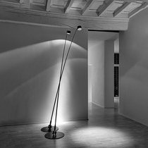 Designer Nordic post-modern minimalist floor lamp Villa Hotel model room living room sofa Italian long pole standing lamp
