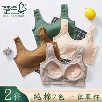 Underwear student girl breast wrap bottom anti-light chest gather on the collection of auxiliary breast with chest pad one bra Cotton
