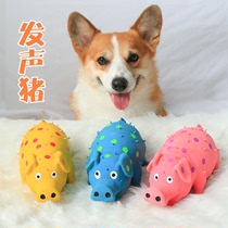 Pet dog dog toy alone relief artifact resistant to bite teeth Kirky Teddy puppies sound simulation cute pig