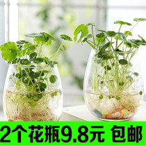 Simple creative glass vase transparent hydroponic plant copper flower pot colored hyacinth raising green glass bottle